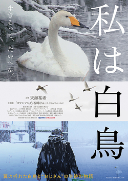 私は白鳥