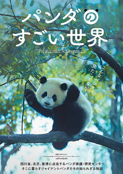 パンダのすごい世界