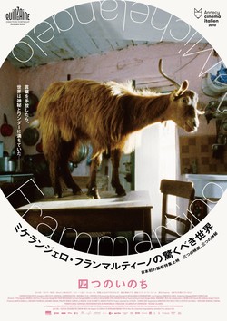 【ミケランジェロ・フランマルティーノの驚くべき世界】四つのいのち